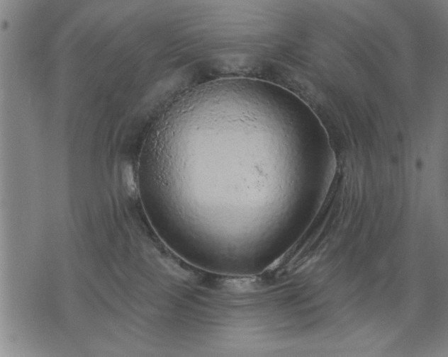 X0000076320089200610061421