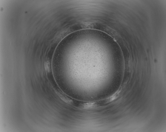 X0000076320090200610061421