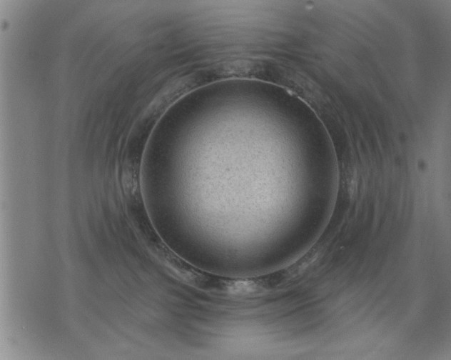 X0000076320091200610061421