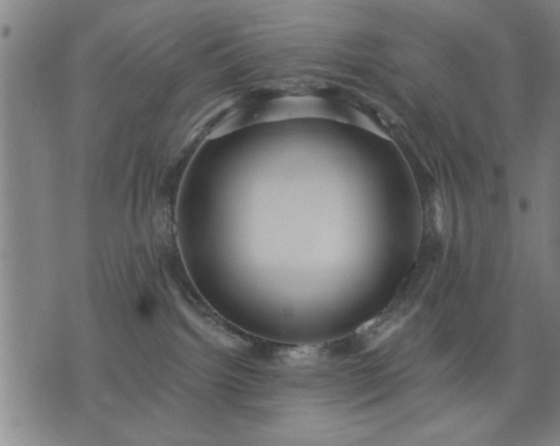 X0000076320092200610061421