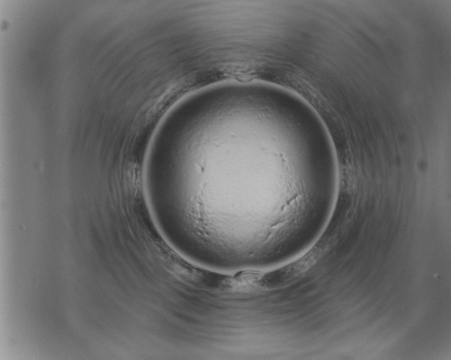 X0000076320093200610061421