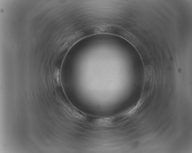 X0000076320094200610061421