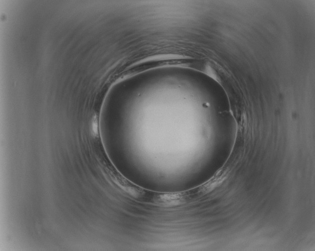 X0000076320095200610061421