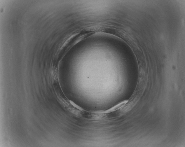 X0000076320096200610061421