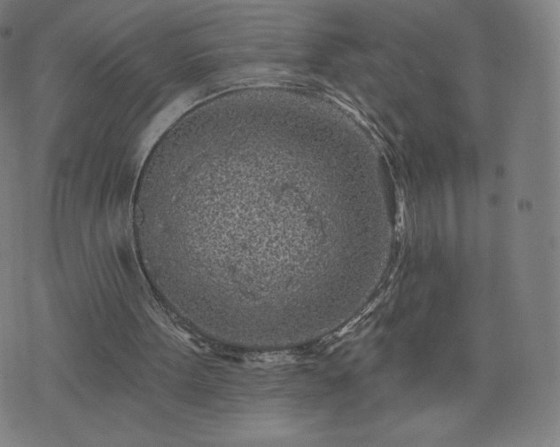 X0000076320099200610061420