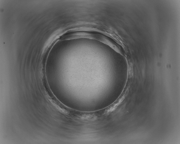 X0000076320101200610061420