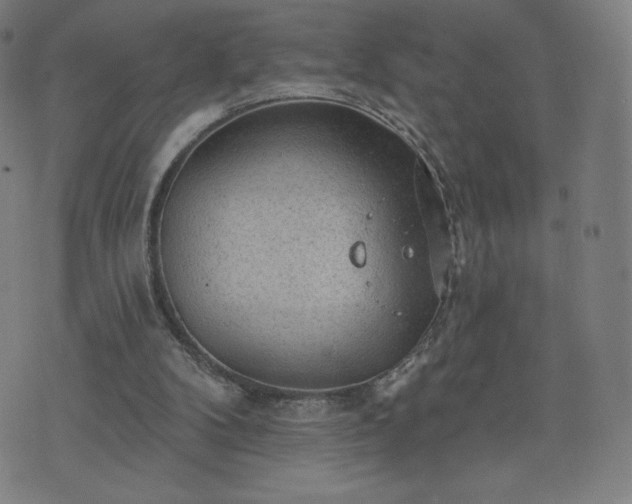 X0000076320104200610061420