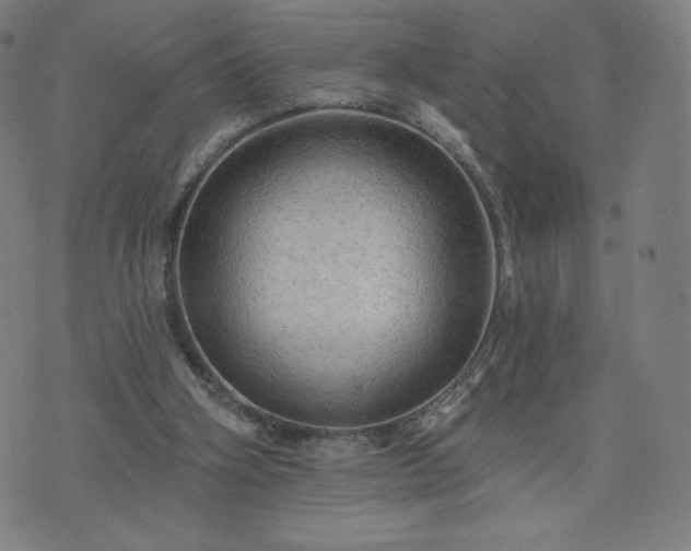 X0000076320106200610061420