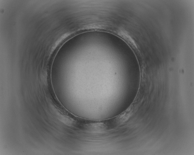 X0000076320108200610061420