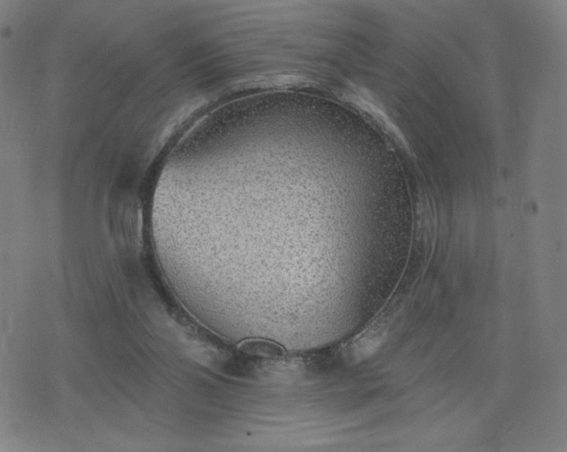 X0000076320110200610061420