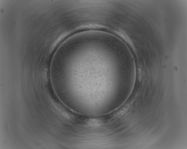 X0000076320111200610061420