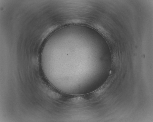 X0000076320112200610061420