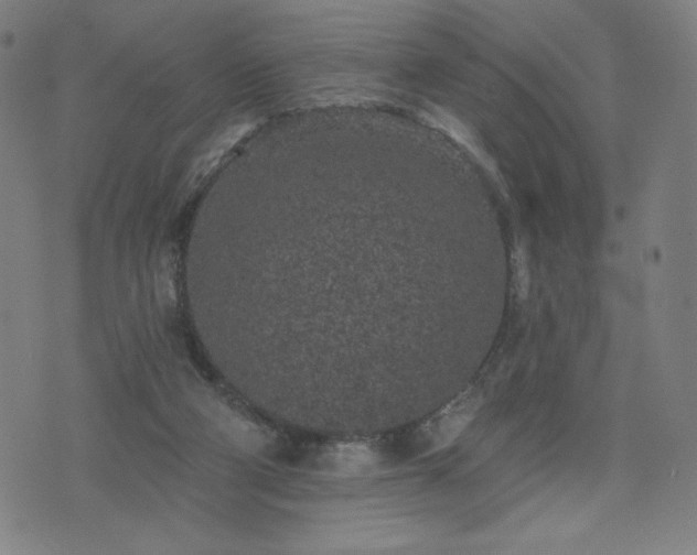 X0000076320114200610061420