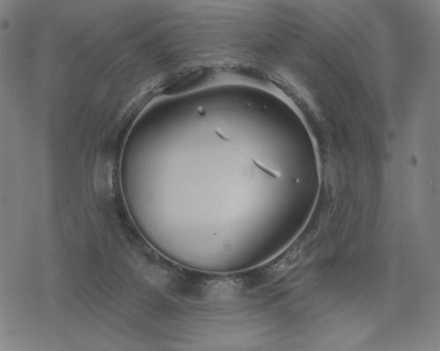 X0000076320115200610061420