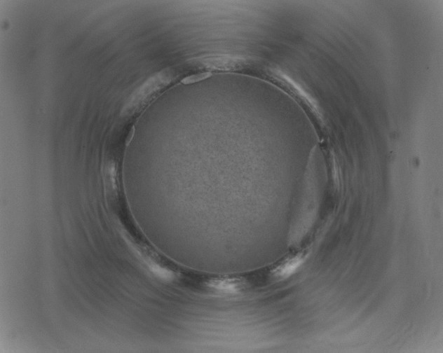 X0000076320117200610061420