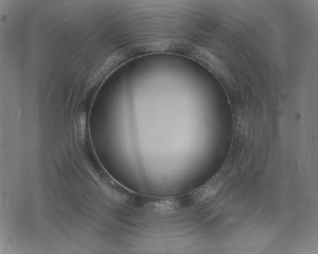 X0000076320118200610061420