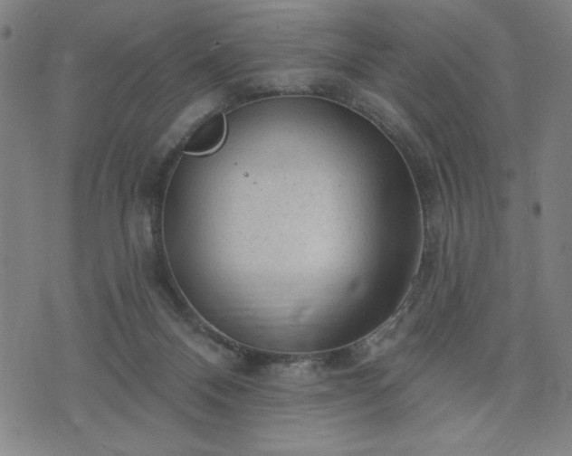 X0000076320120200610061420