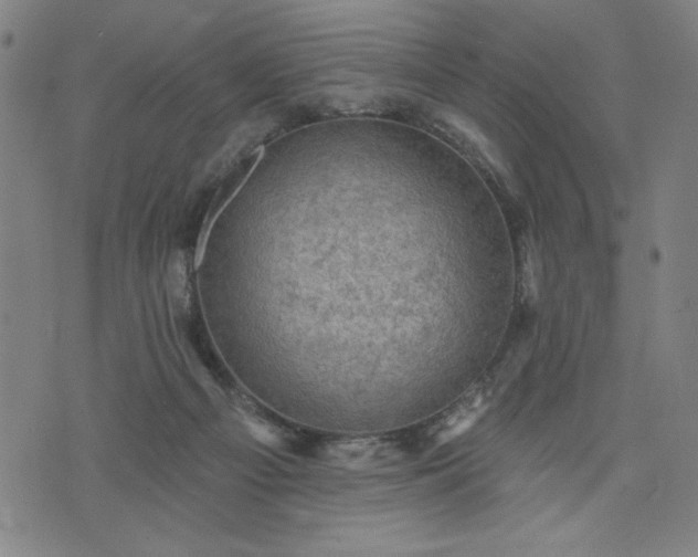 X0000076320121200610061420