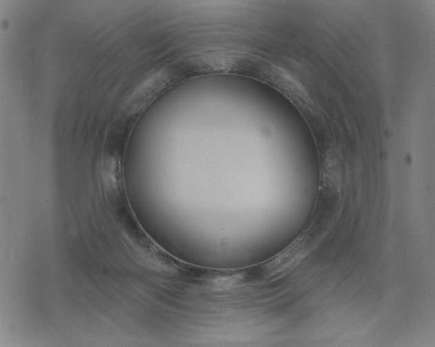 X0000076320122200610061420