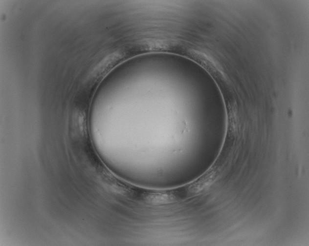 X0000076320123200610061420