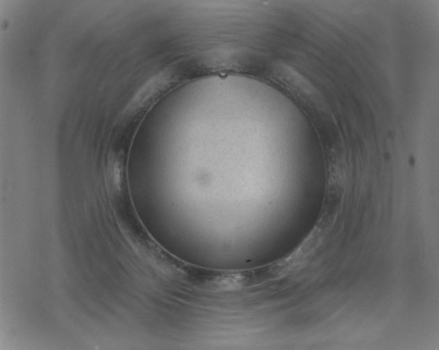 X0000076320124200610061420