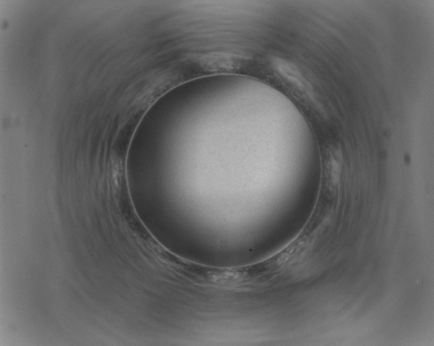 X0000076320125200610061420