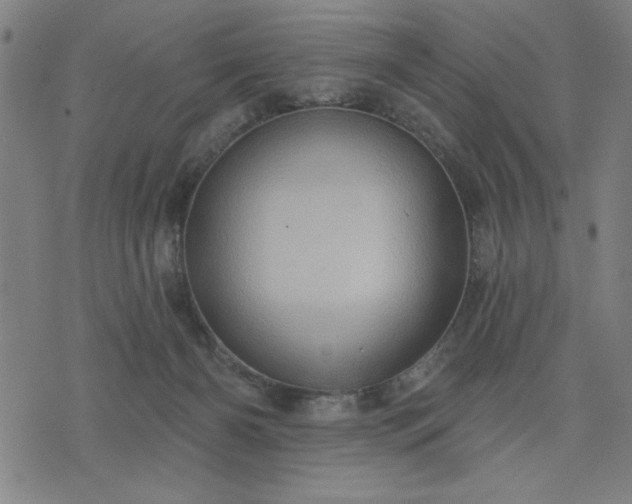 X0000076320126200610061420