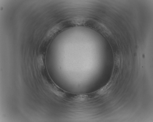 X0000076320128200610061420