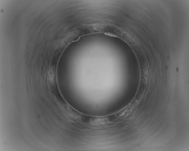 X0000076320129200610061420