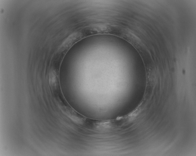 X0000076320132200610061420