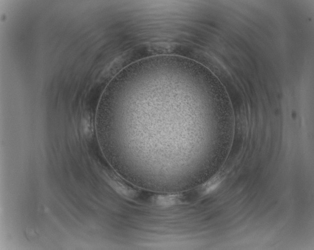 X0000076320134200610061420