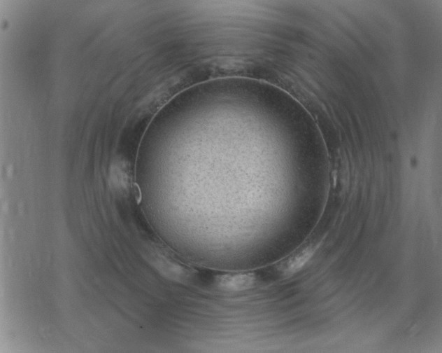 X0000076320135200610061420