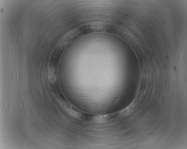 X0000076320136200610061420