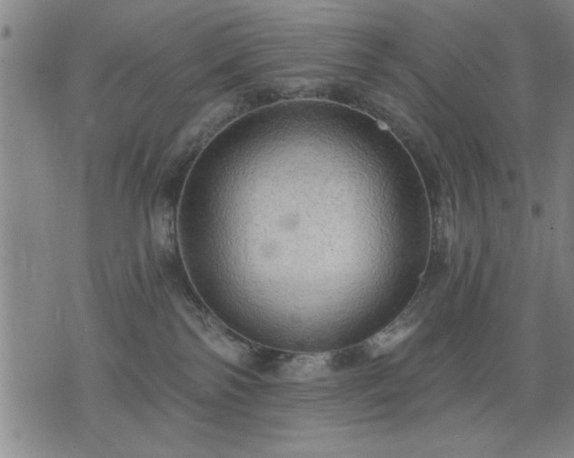 X0000076320138200610061420