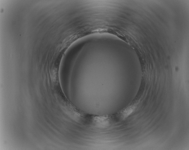 X0000076320139200610061420