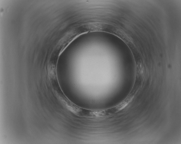 X0000076320141200610061420