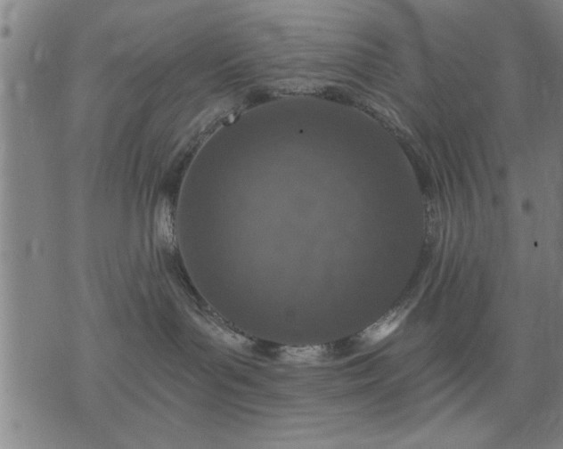 X0000076320143200610061420