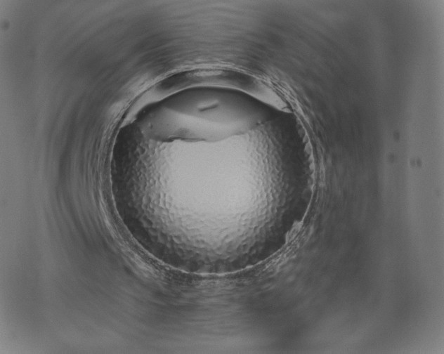 X0000076320145200610061419