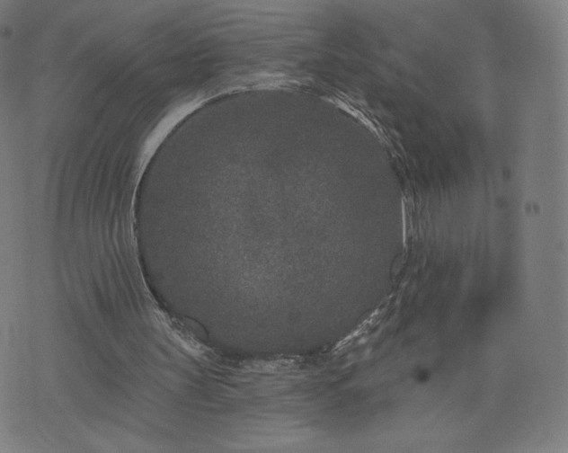 X0000076320147200610061419