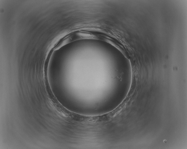 X0000076320148200610061419