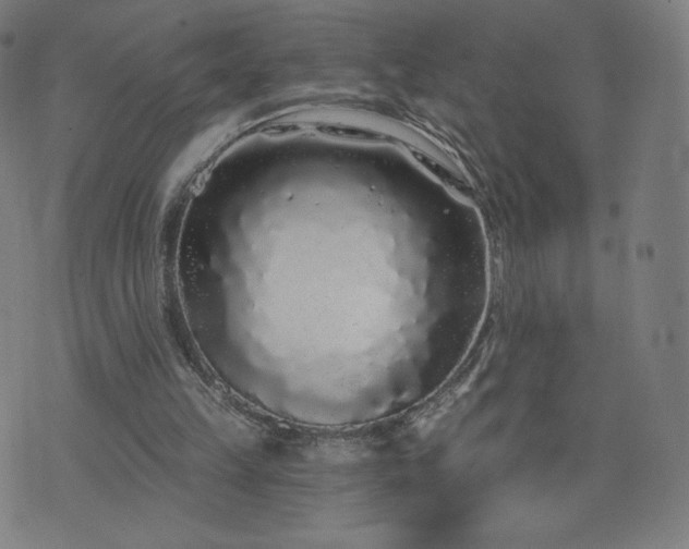 X0000076320149200610061419