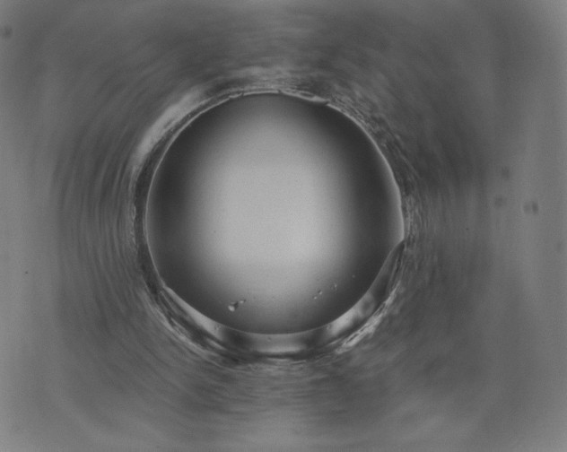 X0000076320150200610061419