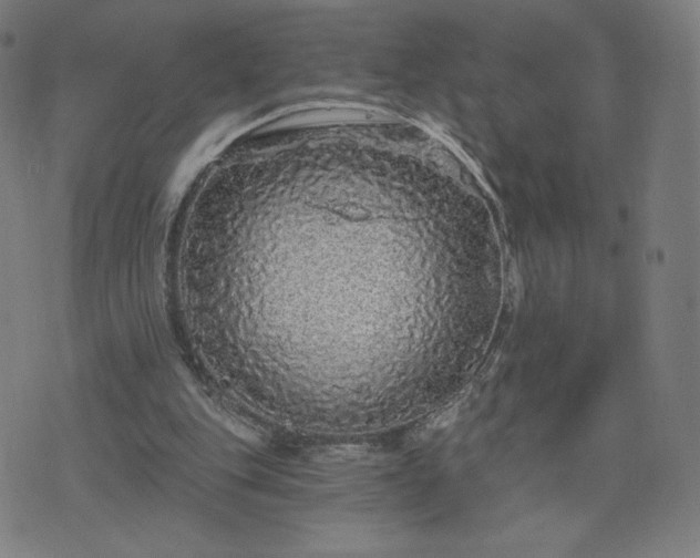 X0000076320151200610061419