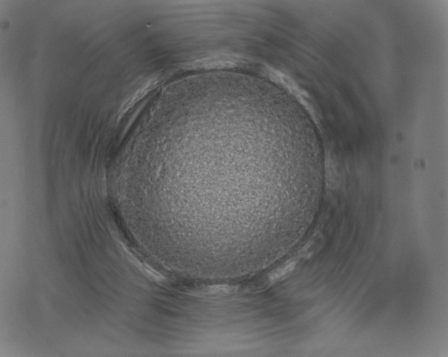 X0000076320153200610061419