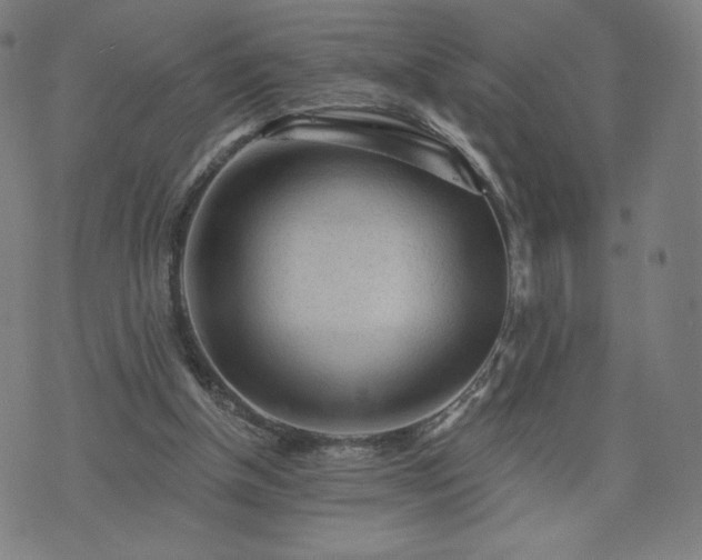 X0000076320154200610061419