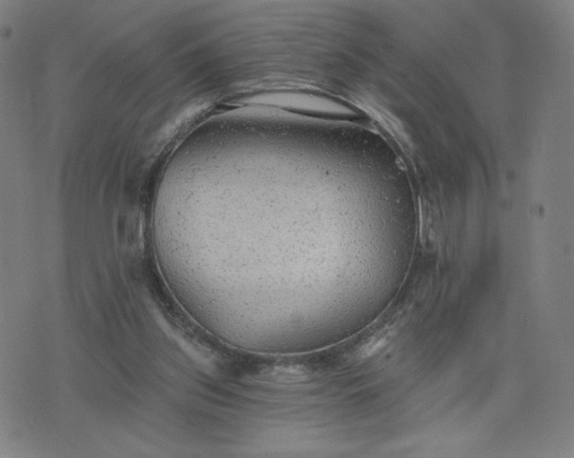 X0000076320157200610061419