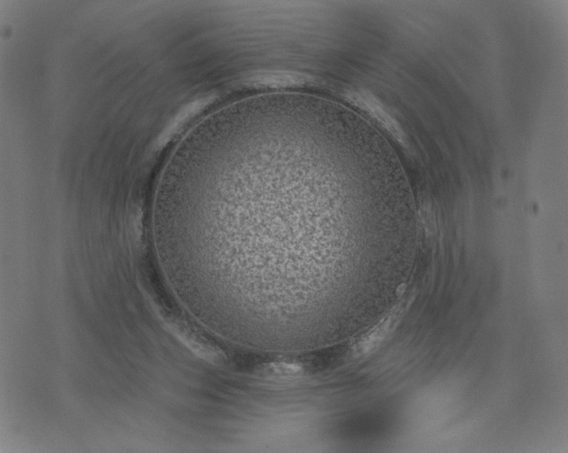 X0000076320159200610061419