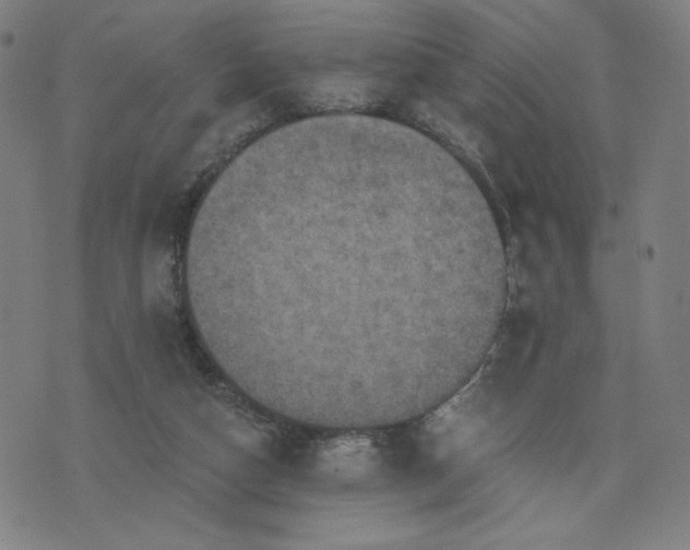 X0000076320162200610061419