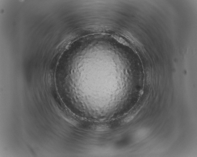 X0000076320165200610061419