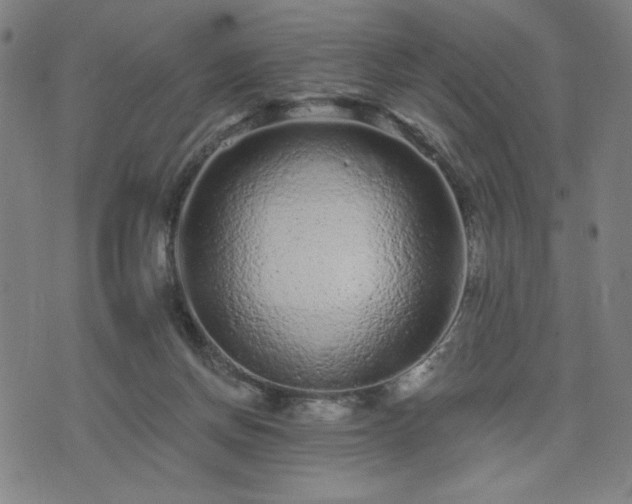 X0000076320166200610061419